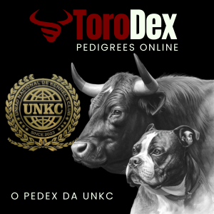 WWW.TORODEX.COM.BR (300 x 300 px).png