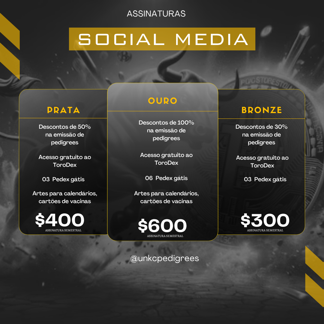 MARKETING DIGITAL.png